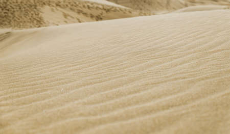 View of Dunes in Maspalomas, Canarias islands, Spain.の写真素材