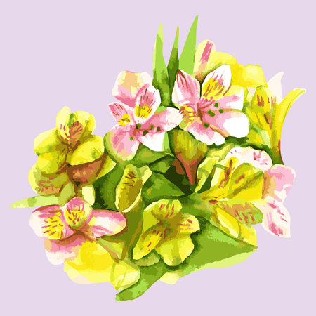 Spring alstroemeria bouquet watercolor drawnのイラスト素材