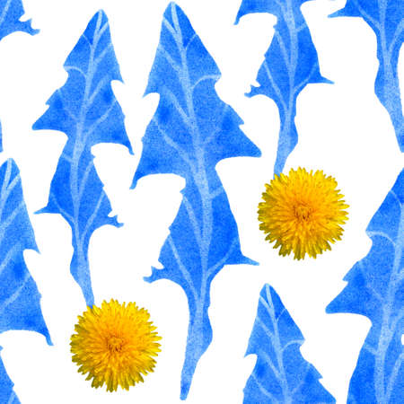 Seamless dandelion pattern blue stamp illustration and photoの写真素材