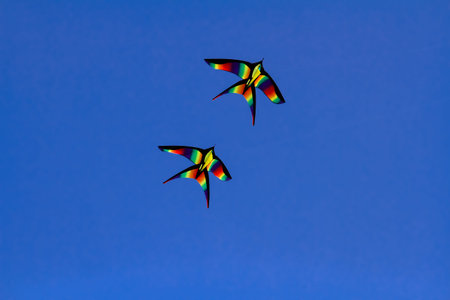 Colorful kites flying isolated on blue backgroundの写真素材