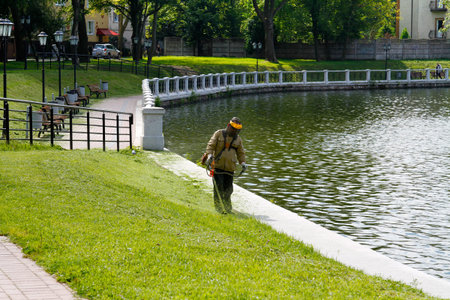 Kaliningrad, Russia - August 3, 2016: The worker of a garden cuts off a grass near the pond in...