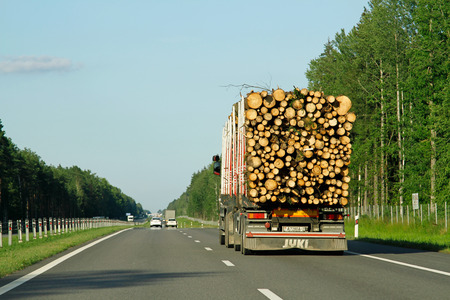 Belarus - August 8, 2016: Large truck transporting wood on the highway Belarusのeditorial素材