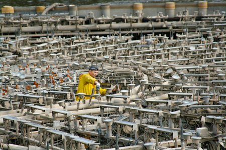 Moscow, Russia - October 15, 2008: The worker produces the preservation of the fountain for the winterのeditorial素材
