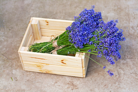 Bouquets of lavender in new yellow wooden boxの写真素材