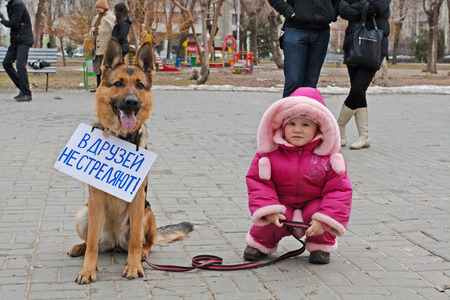 Volgograd, Russia - March 31, 2012: Little girl with a dog with a table (translated from the Russianのeditorial素材