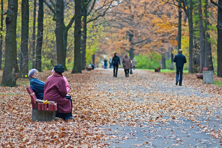 Moscow, Russia - October 16, 2009: People walking in Botanical garden named Tsitsin in Moscowのeditorial素材