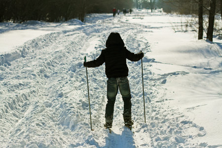 Back view of boy skiing in winter park