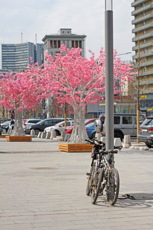 Moscow, Russia - April 30, 2018: Parked bicycles on the background of artificial pink trees on the New Arbat in Moscowのeditorial素材