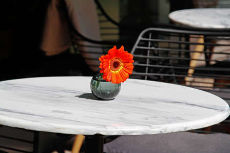 Beautiful orange gerbera in a small vase stands on the tableの写真素材