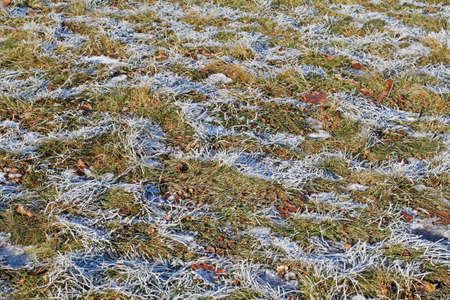 Frost on the grass in sunny weatherの写真素材