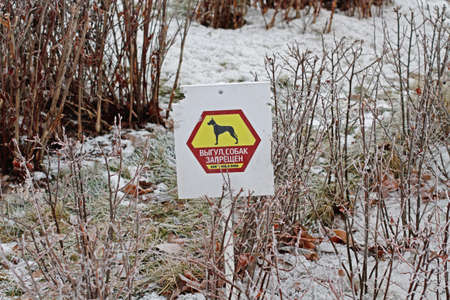 Warning sign "Don't walk dogs" (translated from Russian) standing on the ground with plants in winterの写真素材