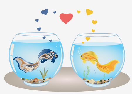 Fishes couple  in love, swimming in different aquariums, look at each other. Romantic feeling conceptのイラスト素材