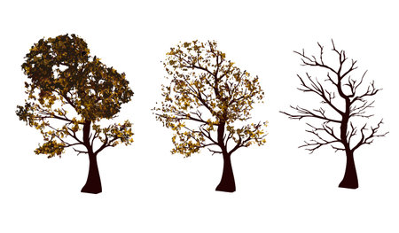 Set of autumn trees isolated on white background. Vector illustration. Horizontal location.のイラスト素材