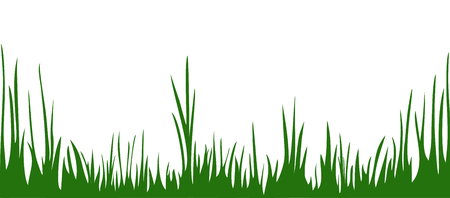 The green grass isolated on the white background.のイラスト素材