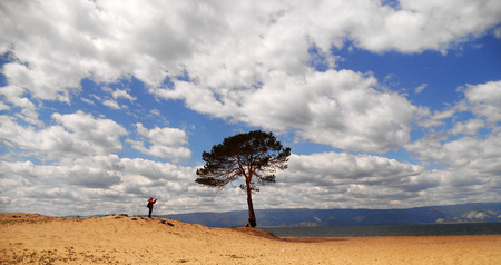Traveler shoots of lonely tree on bay. Tourist take pictures of alone pine on shore of lake Baikal, Russia. Calm scenic beach along gulf against sky.の写真素材