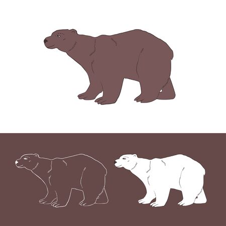 Bear. Polar bear. Drawing. Logo. Vector.のイラスト素材