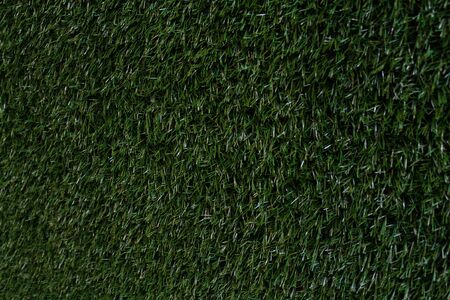 Beautiful flowers. Chrysanthemums. Background bright colorsの写真素材