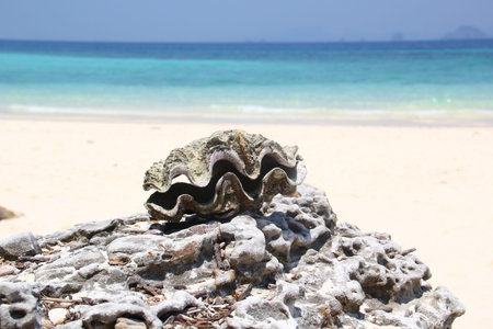 Thailand. Culture Of Thailand. Attractions and nature of Thailand.