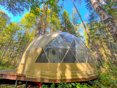 Camping tent in the forest in the summer. Camping in nature