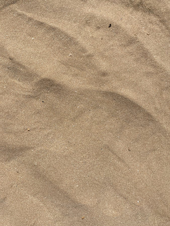 Sand texture. Sand background for design with copy space for text or image.