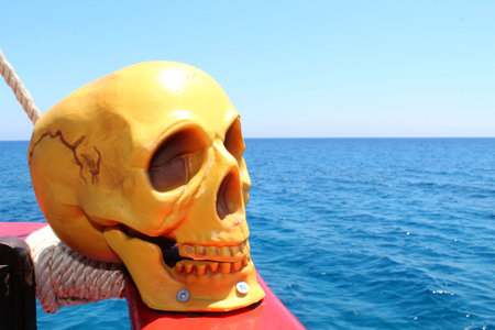 Skull on a boat in the sea, closeup of photo