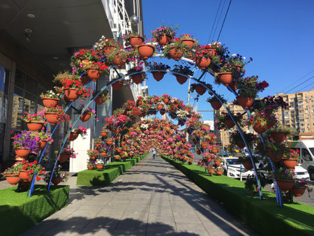Flowers decorating a pedestrian walkway in the city center.の写真素材