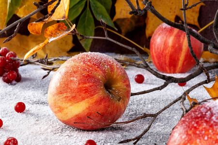 Striped apples sprinkled with powdered sugar. The dish simulates apples in the snowの写真素材