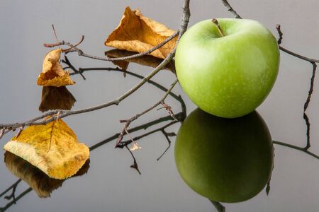 a green Apple with yellow autumn leaves and a branch on black glassの写真素材