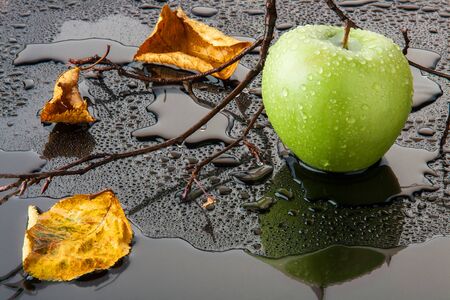 green Apple with yellow autumn leaves and branch in water on black glassの写真素材