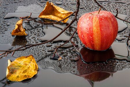 red striped Apple with yellow autumn leaves and a branch in the water on a black glassの写真素材