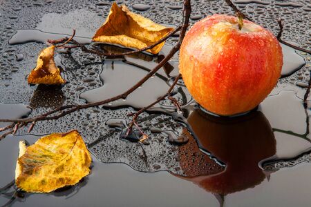 red striped Apple with yellow autumn leaves and a branch in the water on a black glassの写真素材