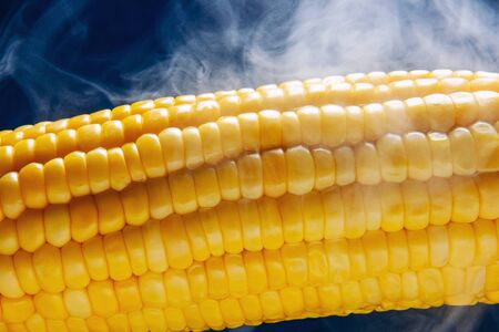 Boiled corn cob with butter on a blue backgroundの写真素材