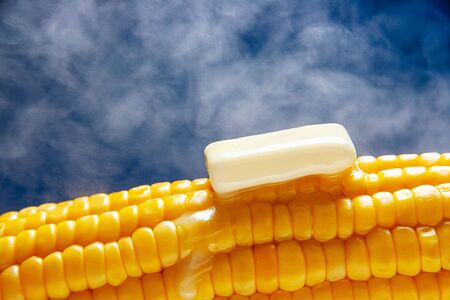 Boiled corn cob with butter on a blue backgroundの写真素材