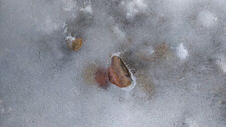 A leaf of a tree frozen in ice on a pondの写真素材