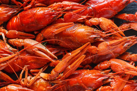 Background of beautiful, delicious boiled red crayfishの写真素材