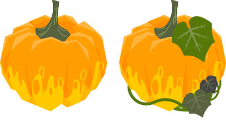 Illustration of yellow pumpkin without linesのイラスト素材