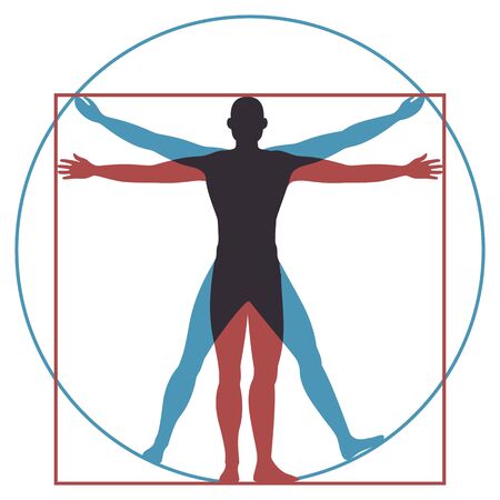 Vitruvian man. Leonardo da vinci human body perfect anatomy proportions in circle and square. Vector renaissance health men silhouetteのイラスト素材