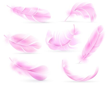 Pink feathers. Bird or angel feather, birds plumage. Flying fluff, falling fluffy twirled flamingo feathers. Realistic 3d vector isolated white shadow object setのイラスト素材