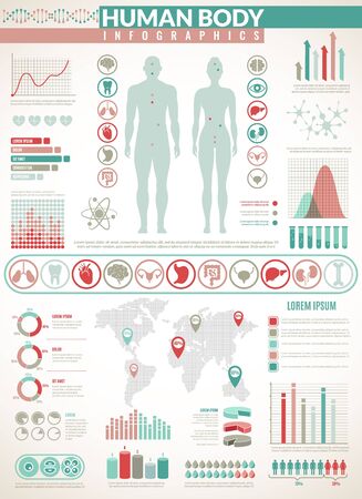 Body infographics. Human health medical vector anatomy infographic with chart, diagrams and system graphs, inner organ healthcare info iconsのイラスト素材