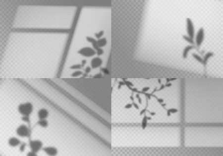 Overlay window shadows. Realistic leaves and window frames monochrome natural lighting transparent...