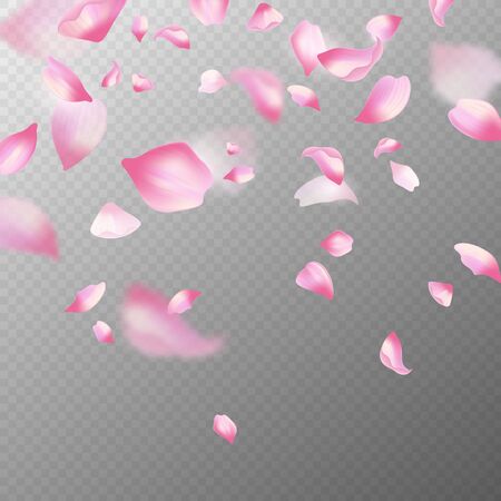 Pink sakura petals. Realistic pink falling cherry petals, spring blossom tree. Romantic floral decoration japanese elements vector blossoming flower abstract backgroundのイラスト素材