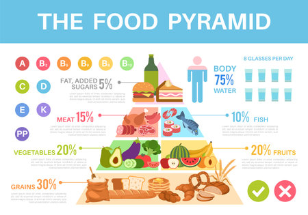 Food pyramid. Nutritional value healthy eating triangle infographics, different groups organic products proteins, fats, carbohydrates and vitamins vector colorful posterのイラスト素材