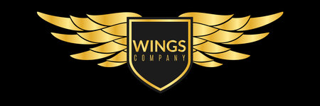 Gold wings logo. Creative sport or business success awards, angel or eagle wing metal shape, shiny...