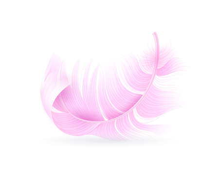 Pink feather. Exotic bird, flamingo or parrot realistic flying fluff, bird soft bright falling twirled plumage, decor element for design vector single closeup object isolated on white backgroundのイラスト素材