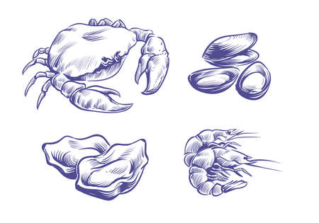 Hand drawn seafoods. Hand drawn oysters and mussels, crabs and shrimps. Shellfish natural seafood in sketch style. Delicious delicacy cooking ingredient vector isolated on white background setのイラスト素材