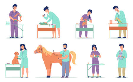 Vet doctors. Animal patients with veterinarians. Pets medical examination and treatment. Professionals in work. Men and women take care of dogs or cats in veterinary clinic, vector setのイラスト素材