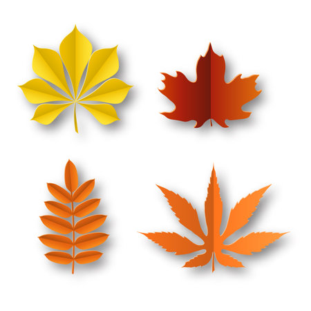Paper leaves autumn. Fall colourful foliage beautiful nature decor isolated elements. Yellow red and orange bright botanic, oak and maple tree leaf, origami plant object, vector setのイラスト素材