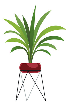 Green house plant on stand. Exotic long leaves flowerのイラスト素材