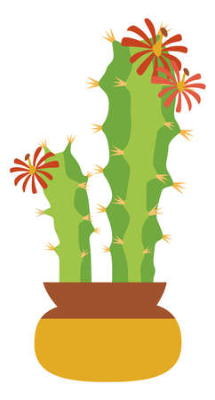 Cacti flower in pot. Green pair of cactus bloomingのイラスト素材
