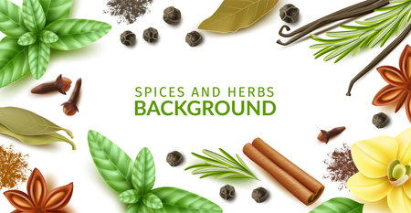Spices and herbs frame. Realistic natural dishes ingredients, dry and fresh products, leaves, twigs and powders background, culinary backdrop, vanilla pods and flower, vector conceptのイラスト素材